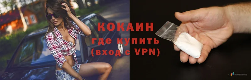 COCAIN FishScale Зима